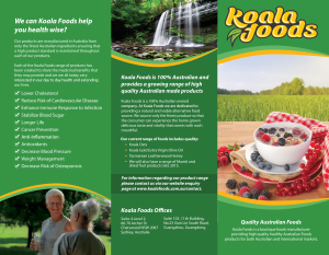 Koala Food Brochure Eng2(Front Side)(1)-1